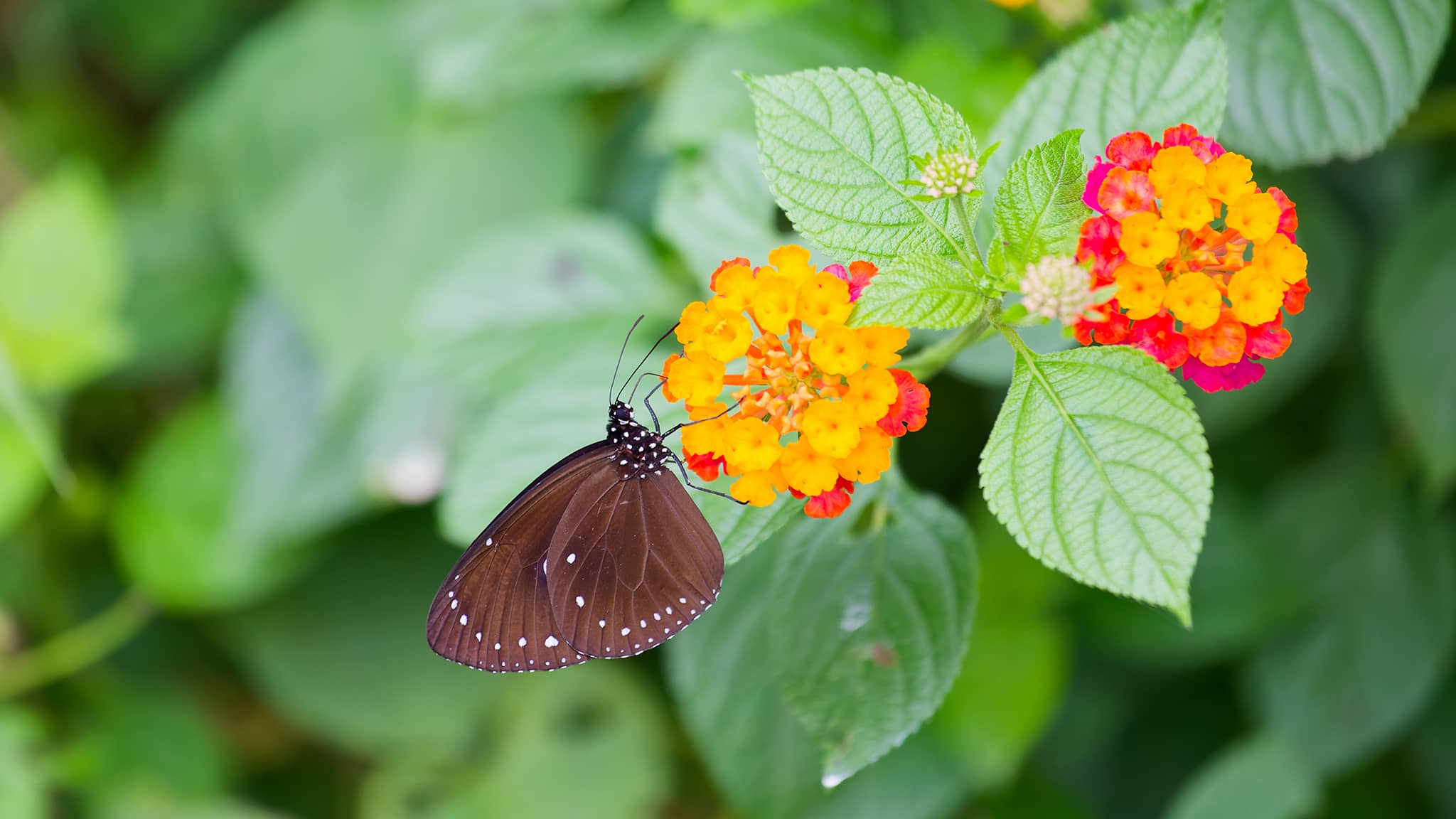 06 - Kaohsiung (14).jpg